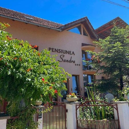 Pensiunea Sandra Ocna Şugatag Exterior foto