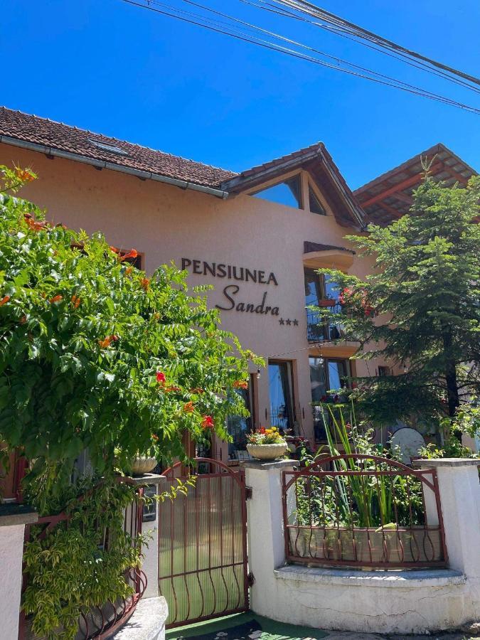 Pensiunea Sandra Ocna Şugatag Exterior foto