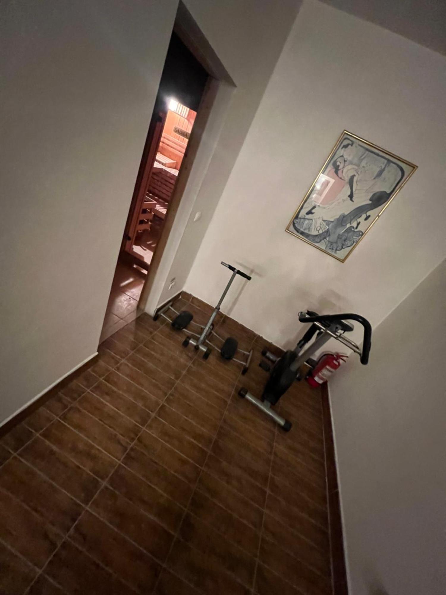 Pensiunea Sandra Ocna Şugatag Exterior foto