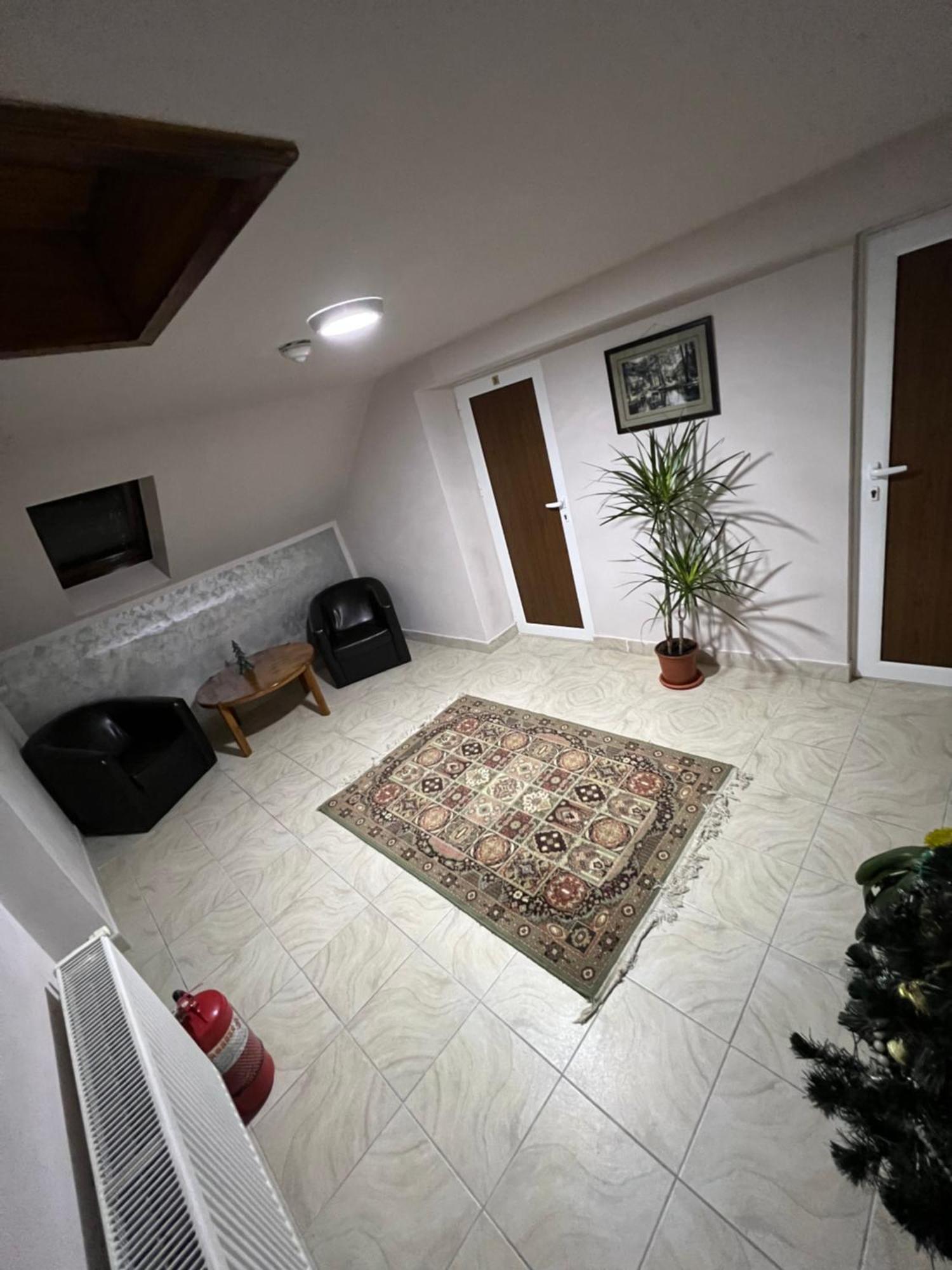 Pensiunea Sandra Ocna Şugatag Exterior foto