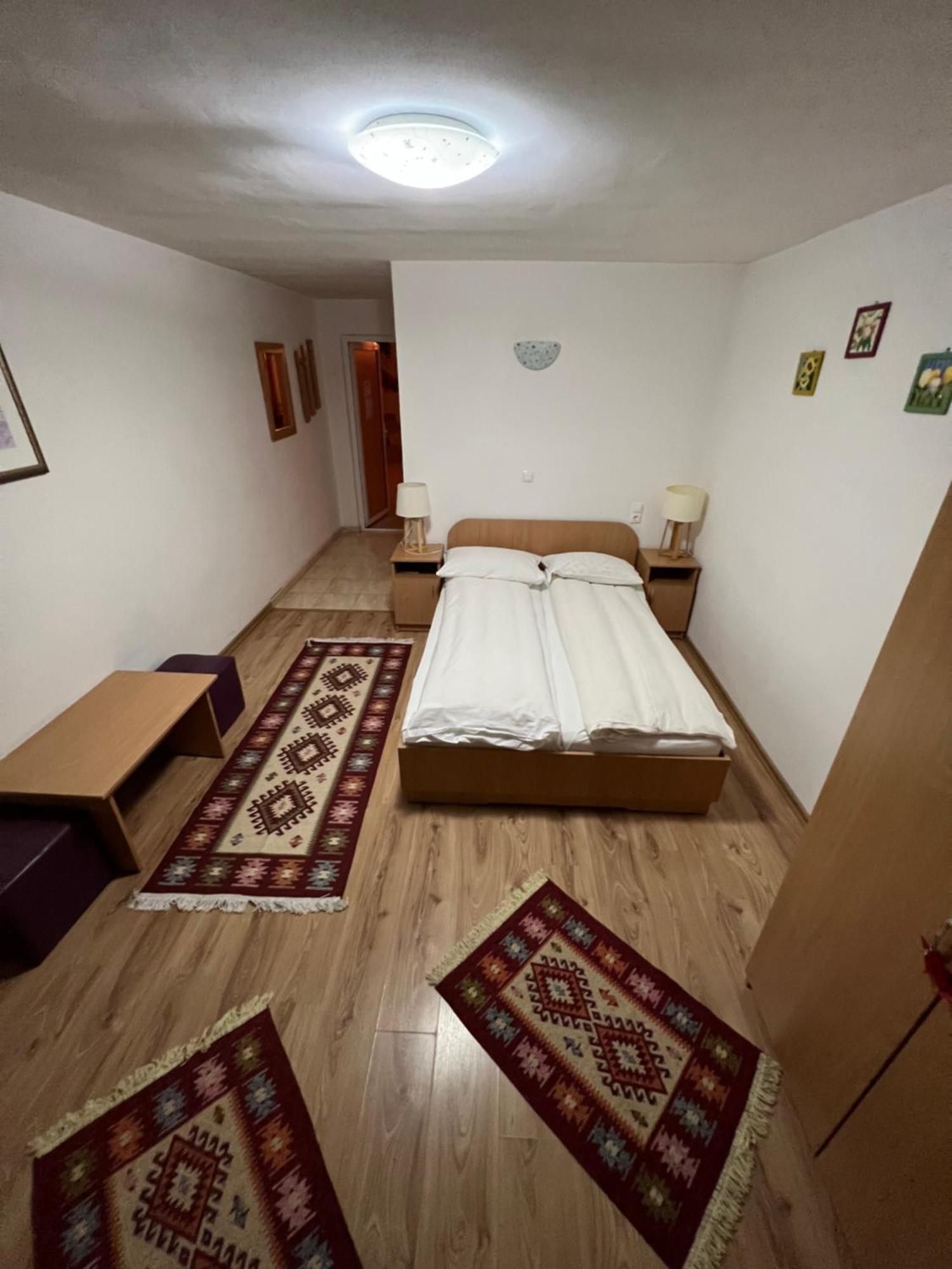 Pensiunea Sandra Ocna Şugatag Exterior foto