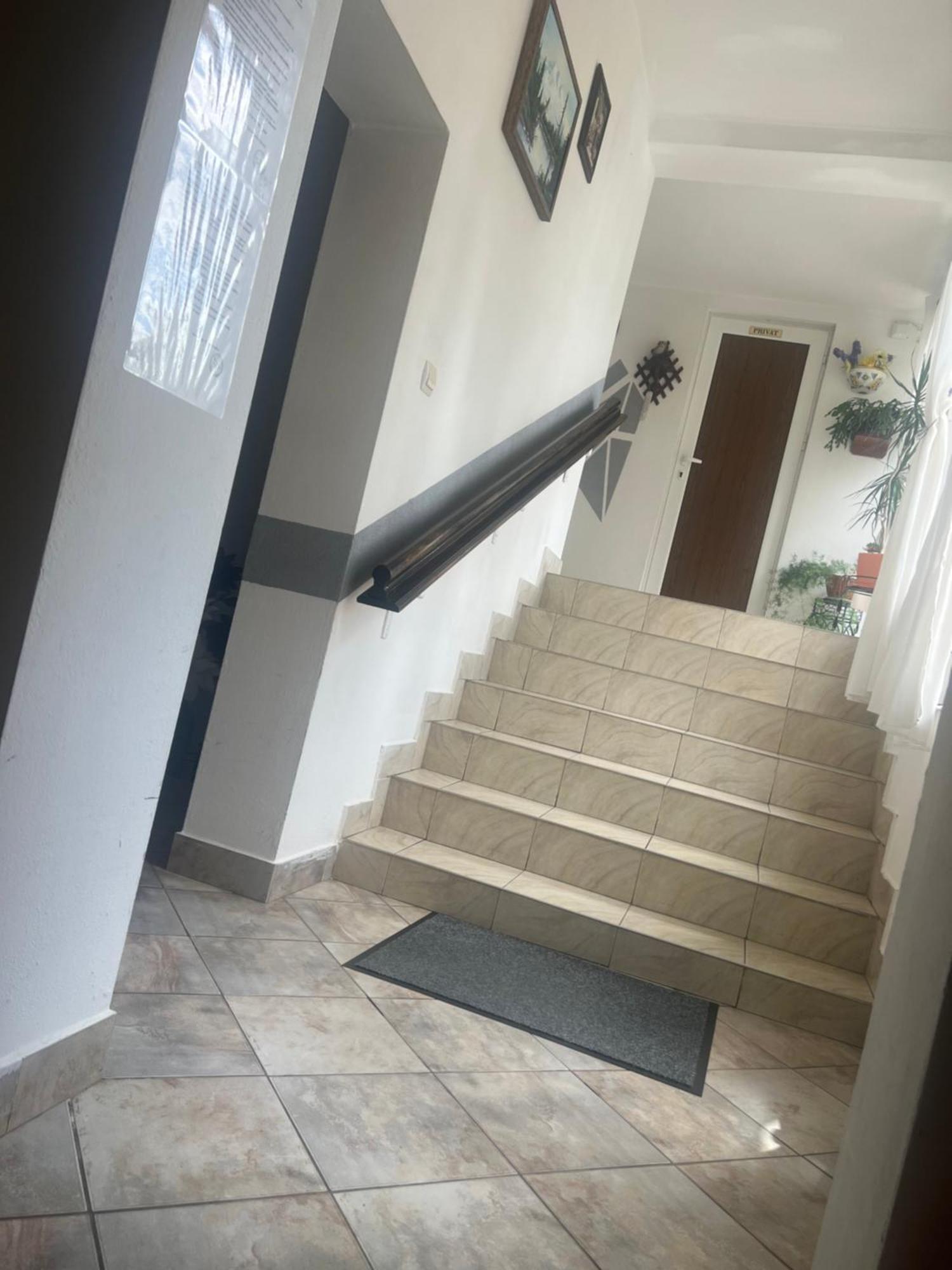 Pensiunea Sandra Ocna Şugatag Exterior foto