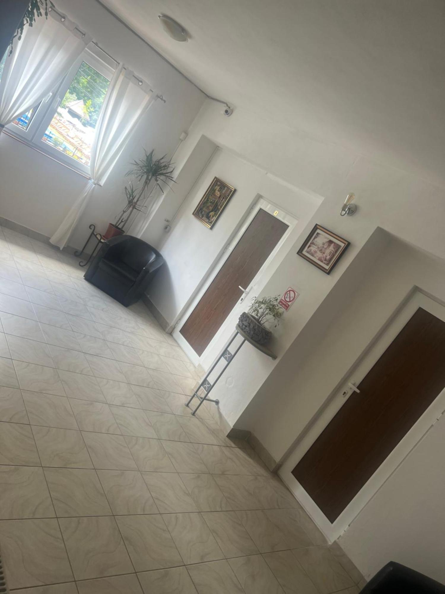 Pensiunea Sandra Ocna Şugatag Exterior foto